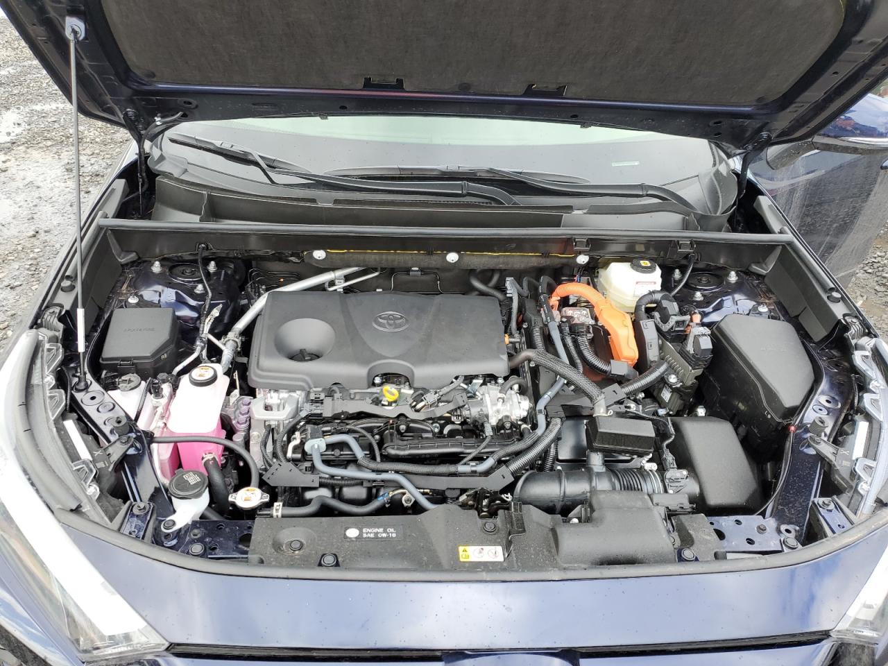 2024 TOYOTA RAV4 XLE PREMIUM VIN:JTMB6RFV4RD151024