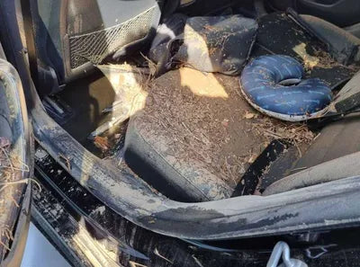 2020 Mercedes-Benz CLA 250 VIN: