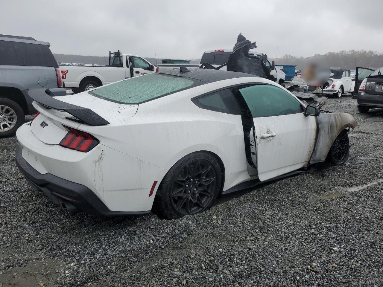 2024 FORD MUSTANG GT VIN:1FA6P8CF5R5405930