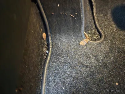 2017 Mercedes-Benz C 200 VIN: