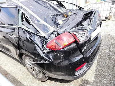 2019 Kia Sorento 315KMKNAPG81BBKA5 VIN:315KMKNAPG81BBKA5