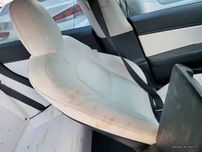 2021 Tesla Model 3 5YJ3E1EB5MF892588 VIN:5YJ3E1EB5MF892588