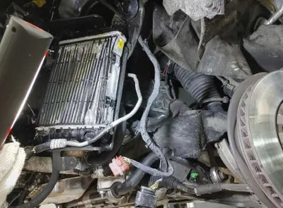 2021 Audi 50 WAUZZZF19MD001662 VIN:WAUZZZF19MD001662