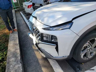 2021 Hyundai Santa FE KMHS281HGMU329617 VIN:KMHS281HGMU329617