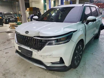 2020 Kia Carnival KNANB81BBMS024261 VIN:KNANB81BBMS024261