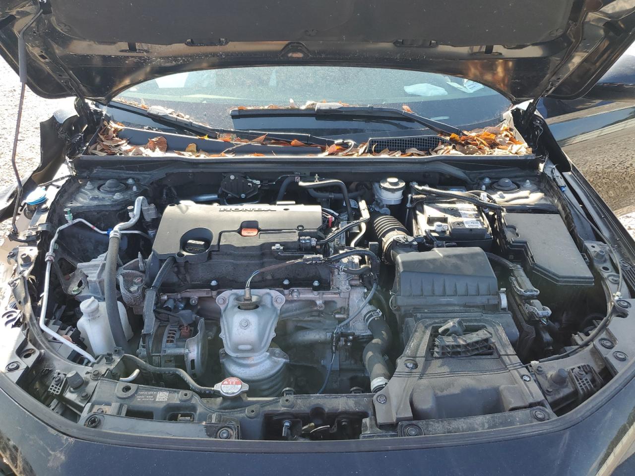 2023 HONDA CIVIC SPORT VIN:2HGFE2F5XPH509532