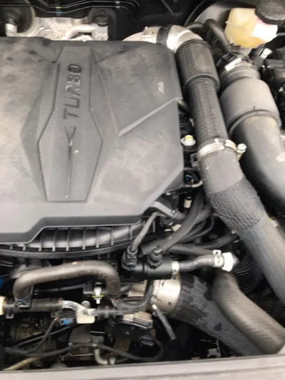 2022 Kia Sorento KNARM81FGNA147321 VIN:KNARM81FGNA147321