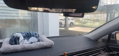 2018 Volkswagen Passat WVWZZZ3CZJE120328 VIN:WVWZZZ3CZJE120328