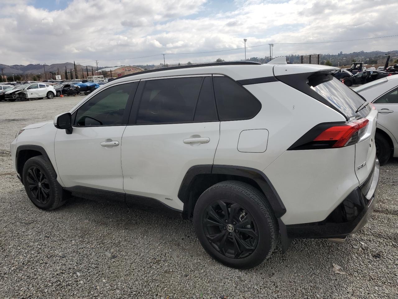 2023 TOYOTA RAV4 SE VIN:JTM16RFV7PD100545