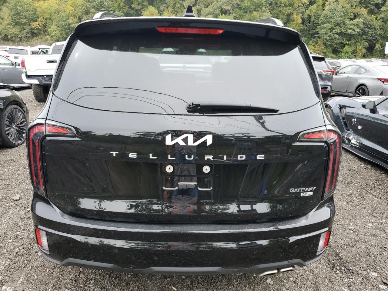 2024 KIA TELLURIDE SX VIN:5XYP5DGC4RG464827