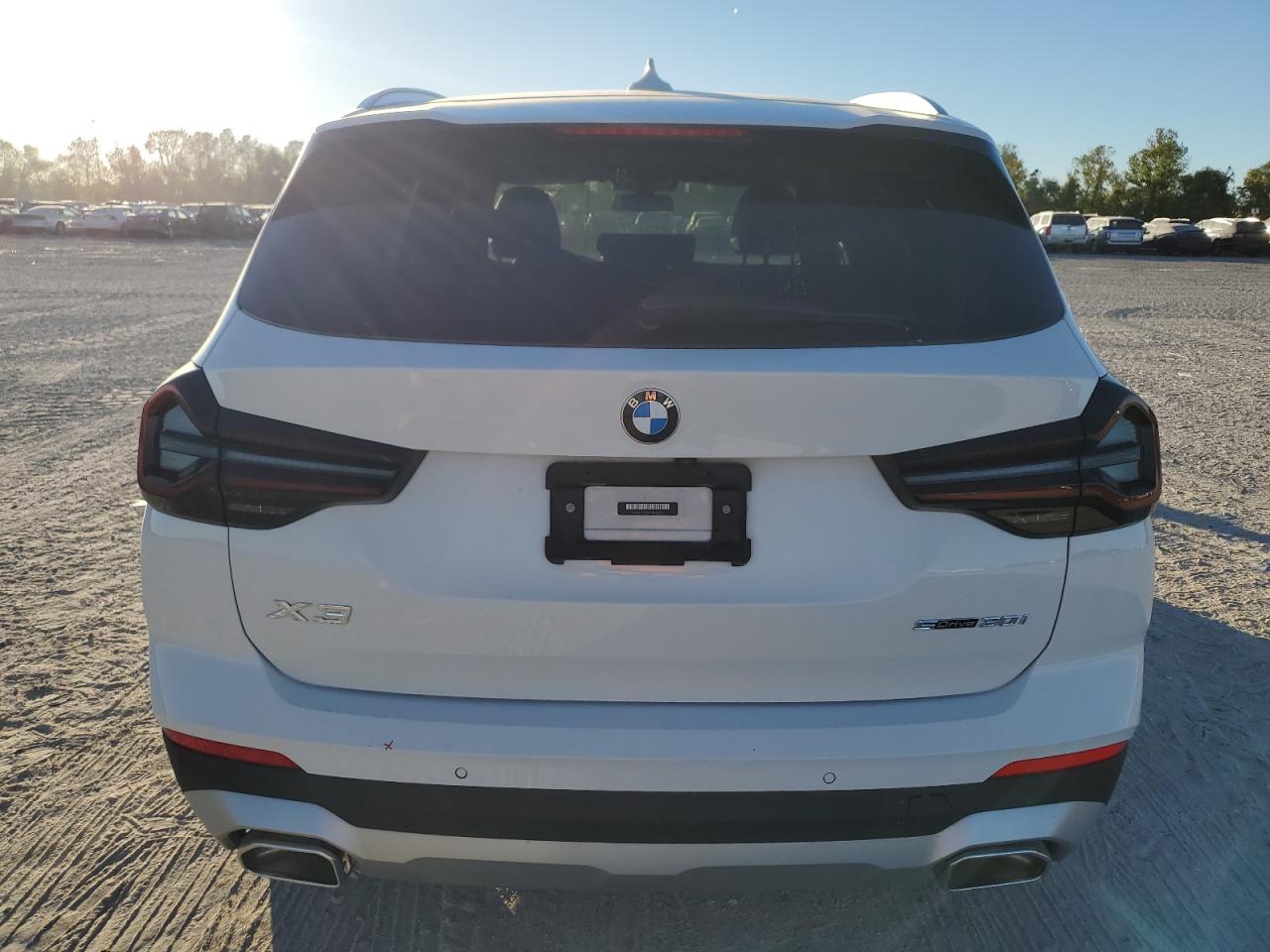 2023 BMW X3 SDRIVE30I VIN:5UX43DP09P9R81553