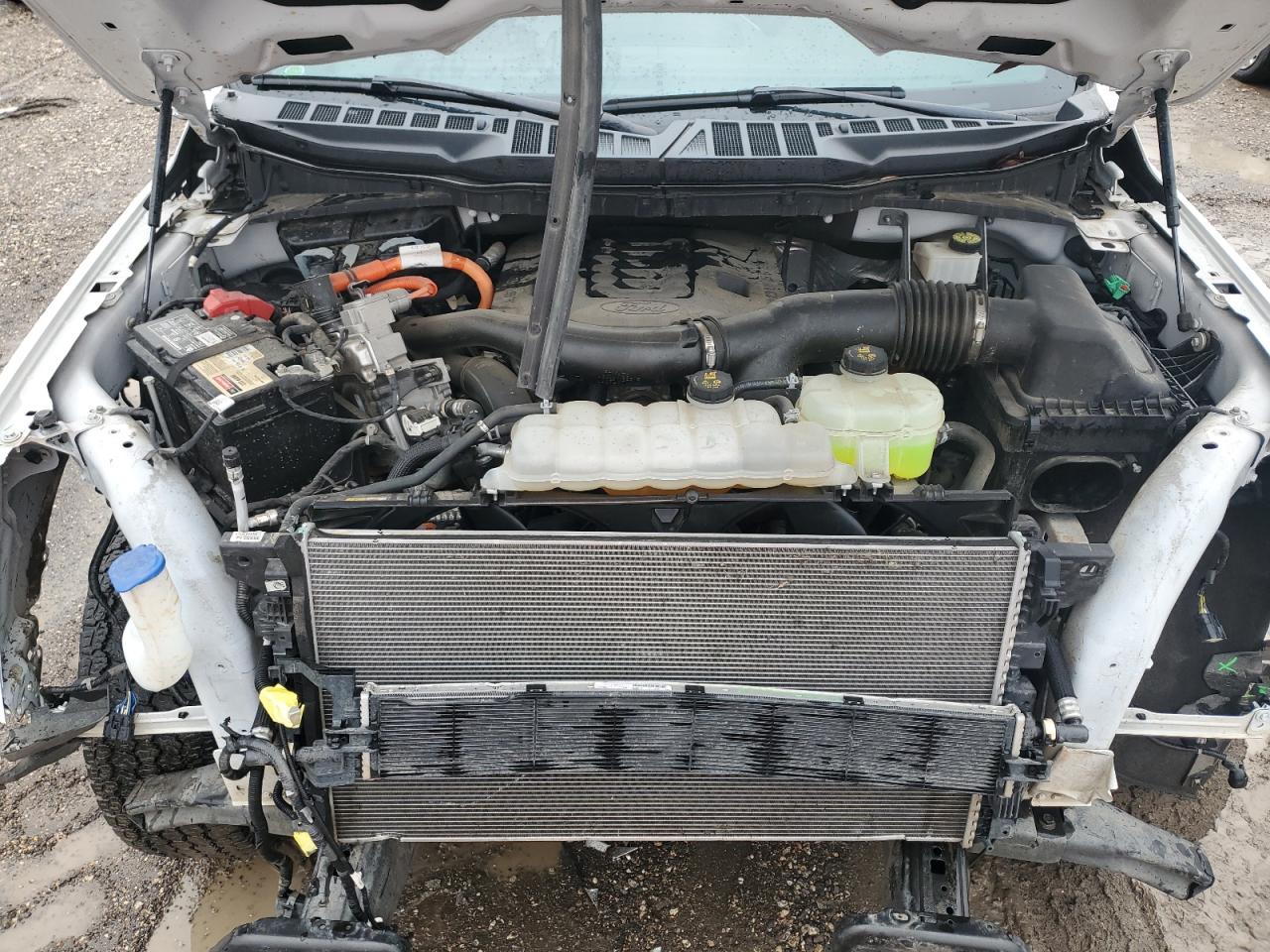 2022 FORD F150 SUPERCREW VIN:1FTFW1ED0NFA24006