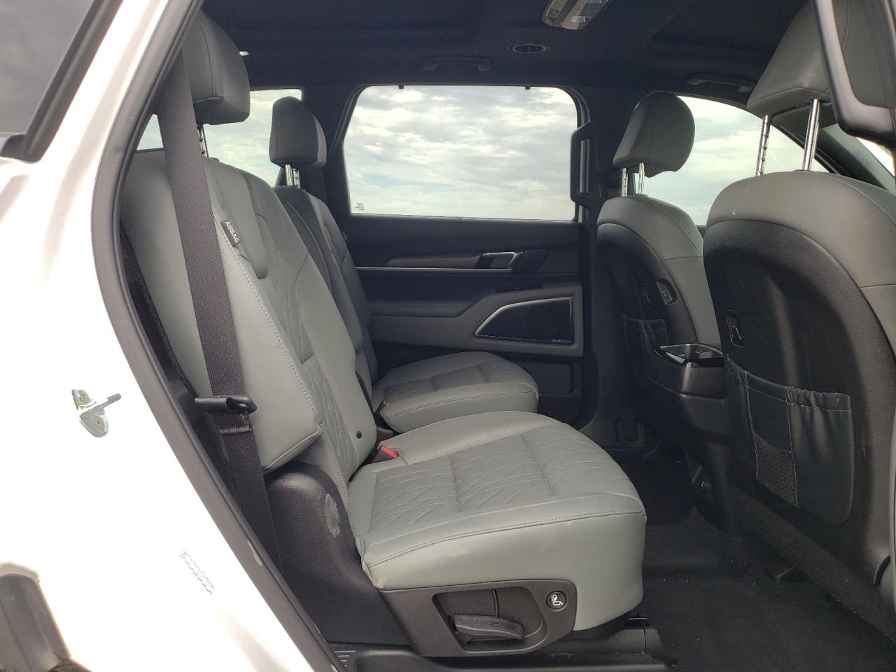 2023 KIA TELLURIDE SX VIN:5XYP5DGCXPG330966