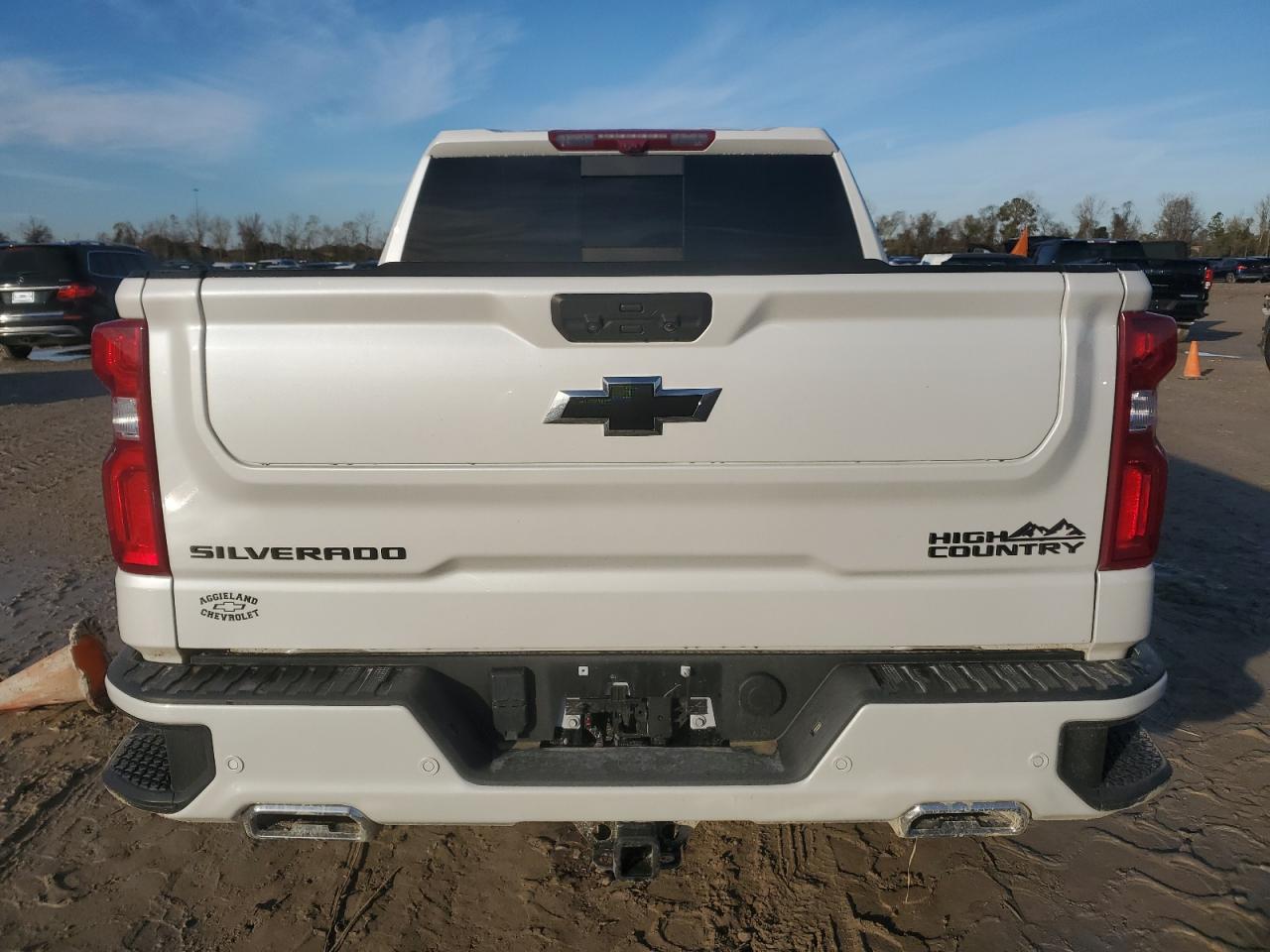 2024 CHEVROLET SILVERADO K1500 HIGH COUNTRY VIN:3GCUDJED2RG458218
