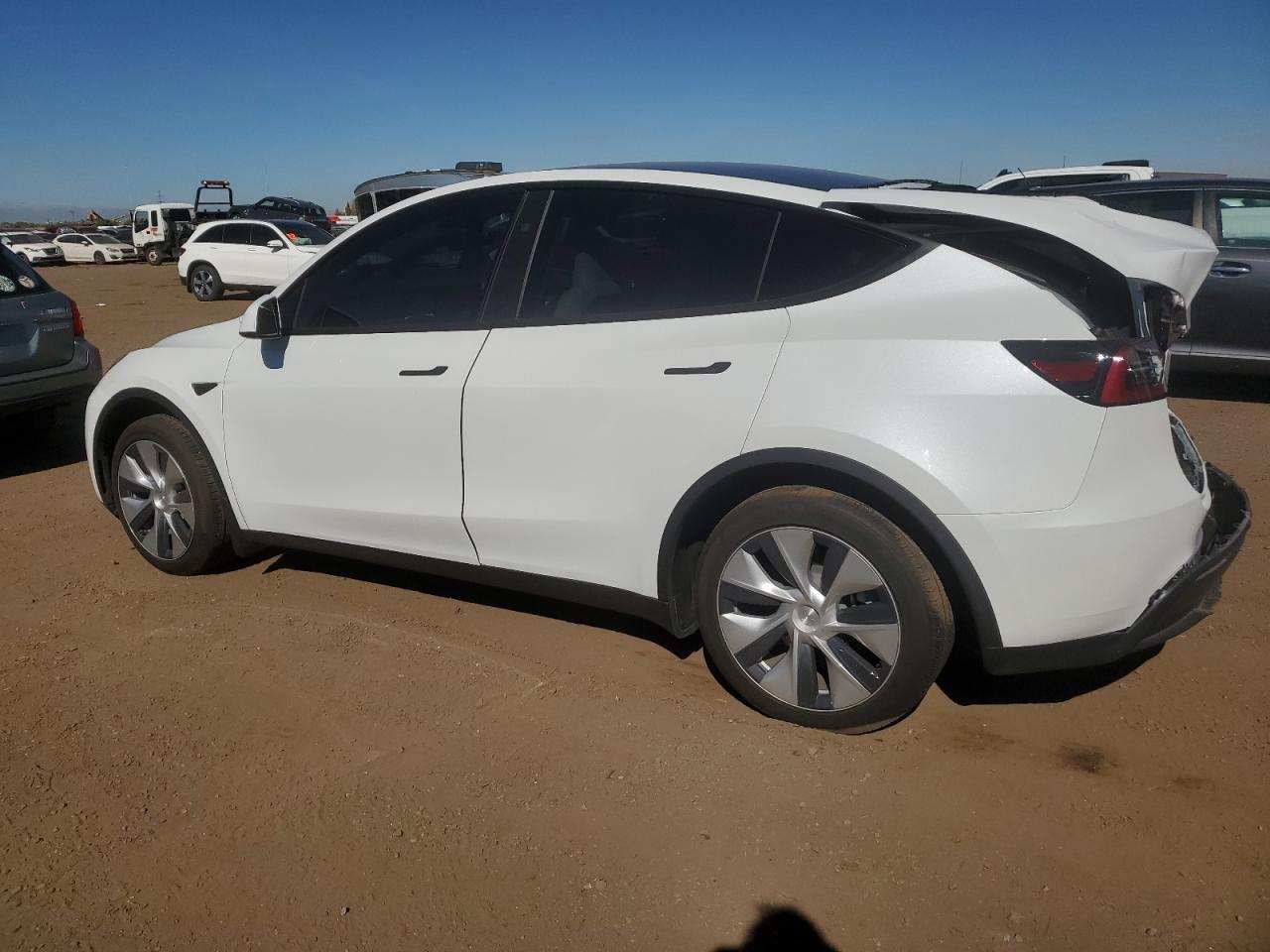 2023 TESLA MODEL Y  VIN:7SAYGDEE3PF842095