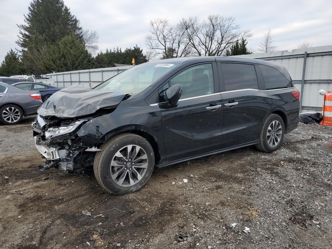 2024 HONDA ODYSSEY EXL VIN:5FNRL6H6XRB057847