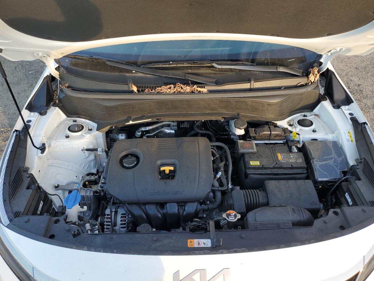 2024 KIA SELTOS EX VIN:KNDERCAAXR7631489