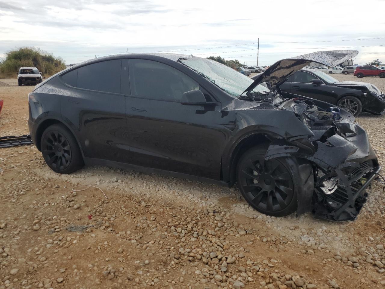 2024 TESLA MODEL Y  VIN:7SAYGAEE4RF064035