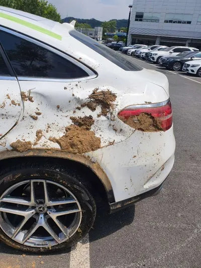 2017 Mercedes-Benz GLE 350 WDCED2EB2HA075573 VIN:WDCED2EB2HA075573