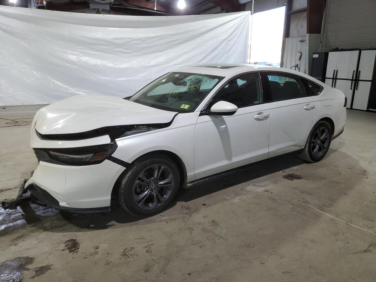 2023 HONDA ACCORD EX VIN:1HGCY1F31PA004075