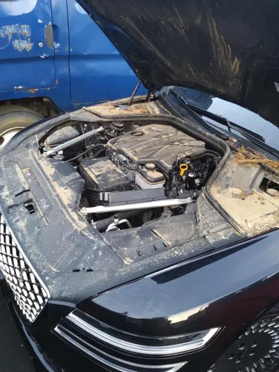 2021 Genesis G80 VIN: