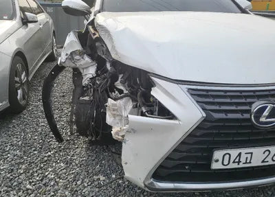 2018 Lexus NX 300 JTJBJRBZ6J2079876 VIN:JTJBJRBZ6J2079876