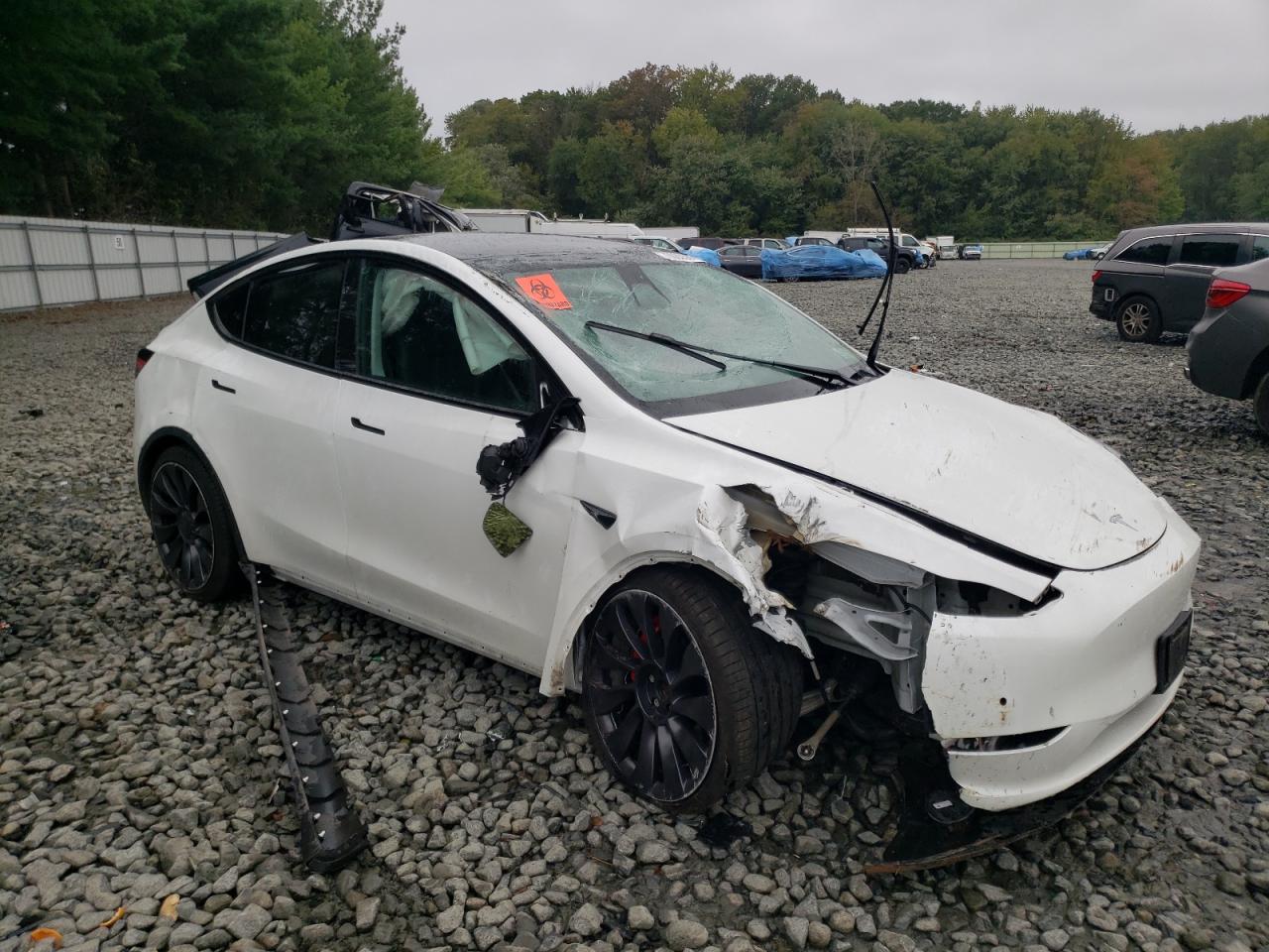 2022 TESLA MODEL Y  VIN:7SAYGDEF3NF312585