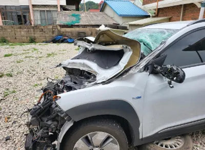 2019 Hyundai Kona KMHK381GFKU047821 VIN:KMHK381GFKU047821