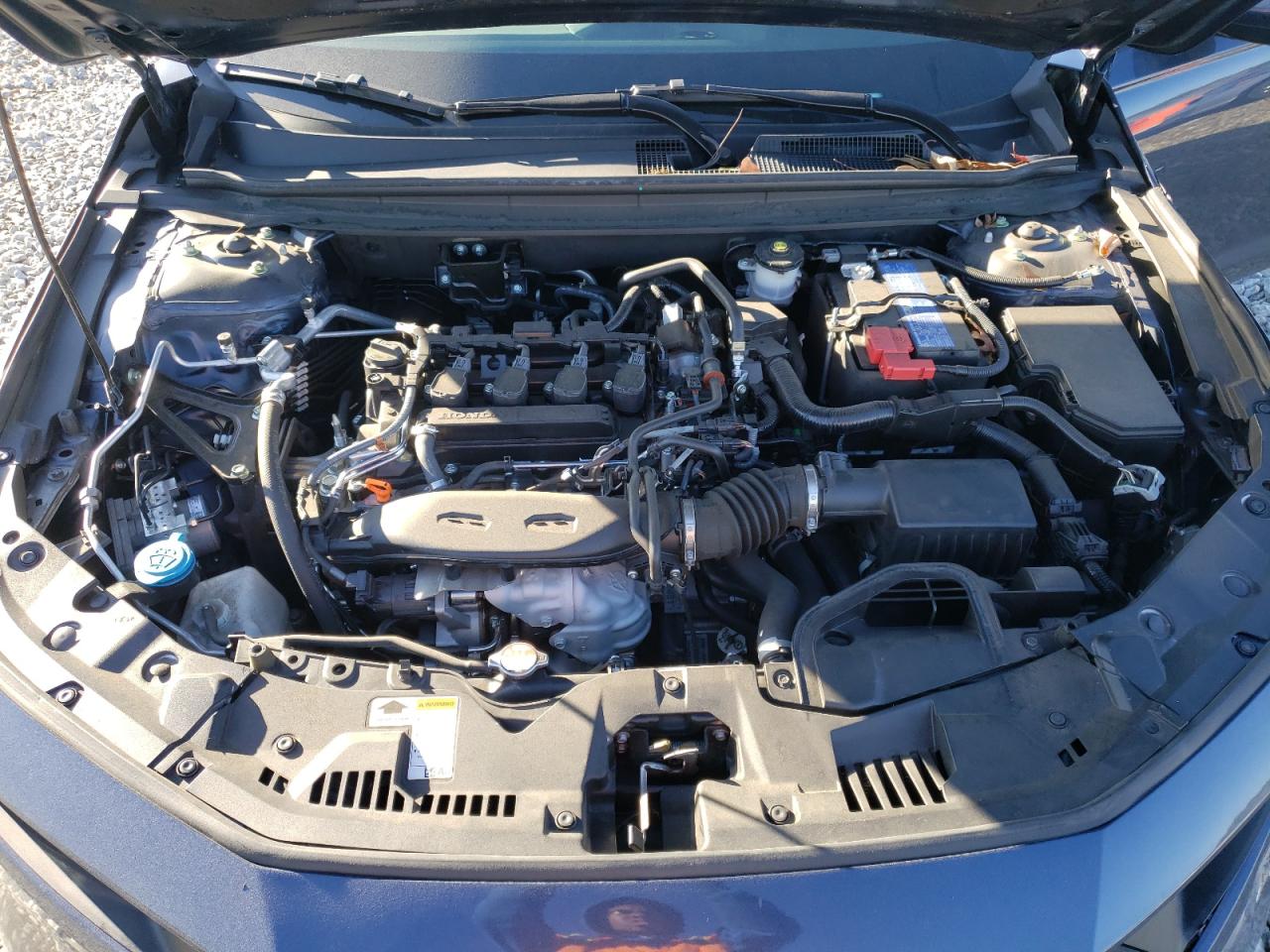 2023 HONDA ACCORD EX VIN:1HGCY1F35PA053635