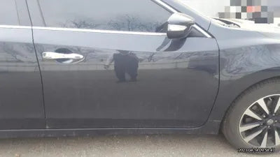 2018 Nissan Altima 1N4AL3AP6JC169258 VIN:1N4AL3AP6JC169258