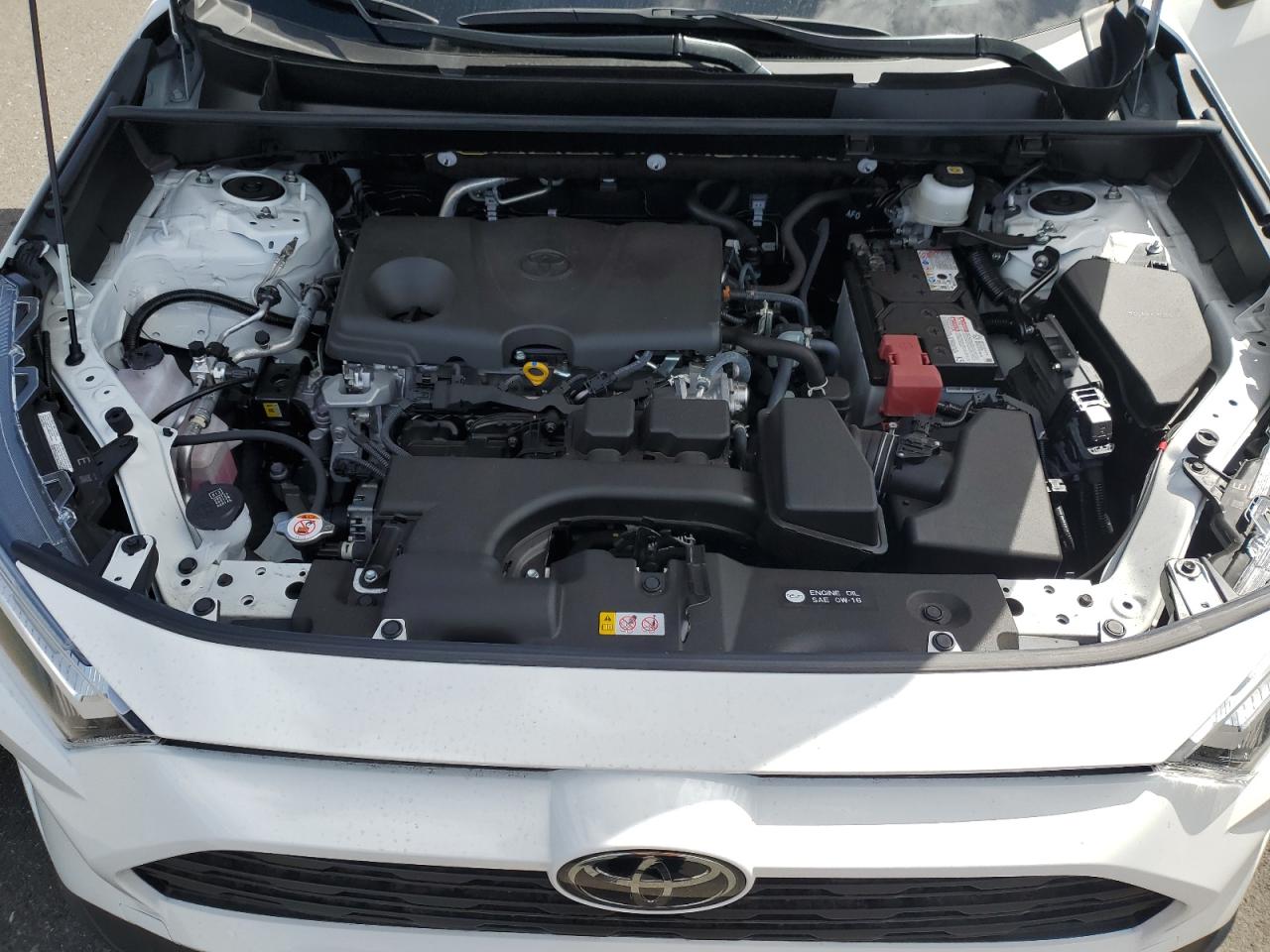 2024 TOYOTA RAV4 XLE VIN:JTMW1RFV3RD116930