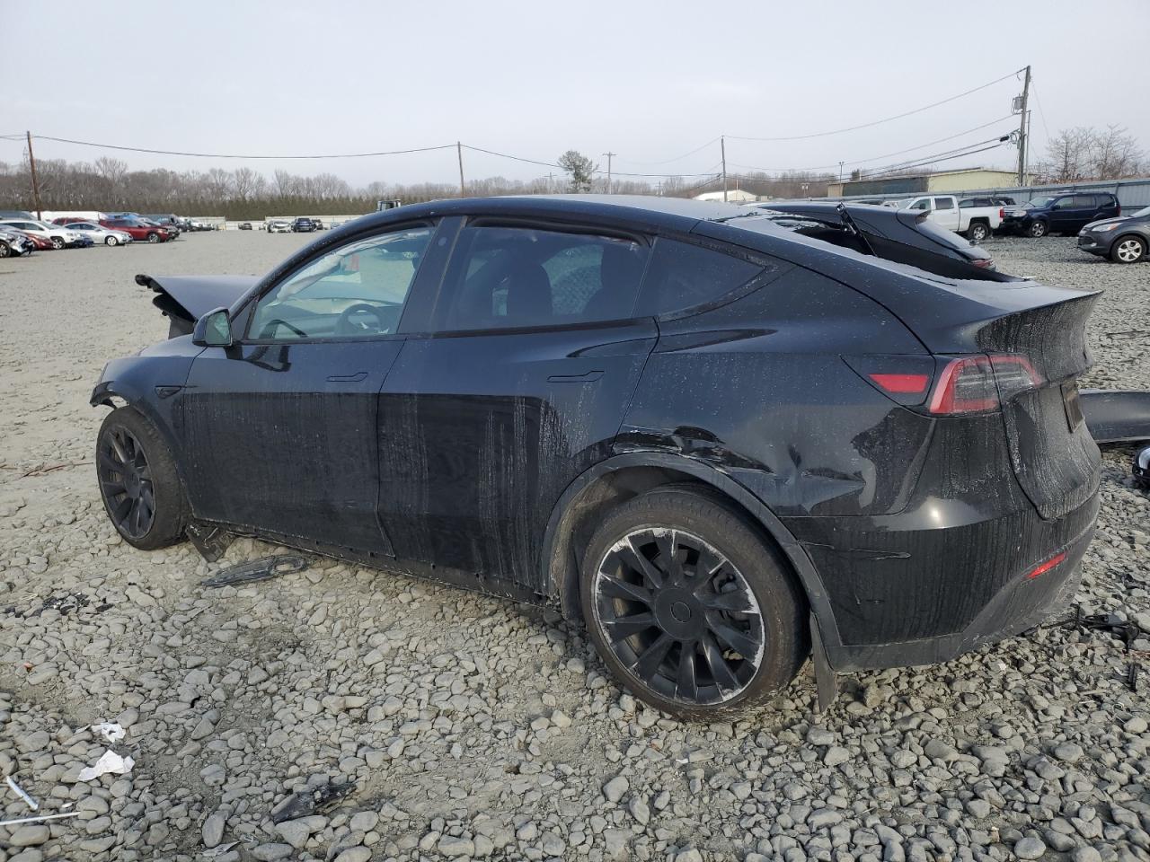 2023 TESLA MODEL Y  VIN:7SAYGDEE8PA094313