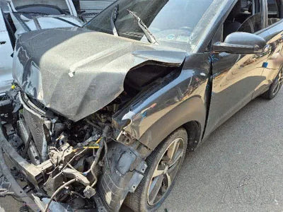 2019 Hyundai Kona KMHK4815GKU409949 VIN:KMHK4815GKU409949