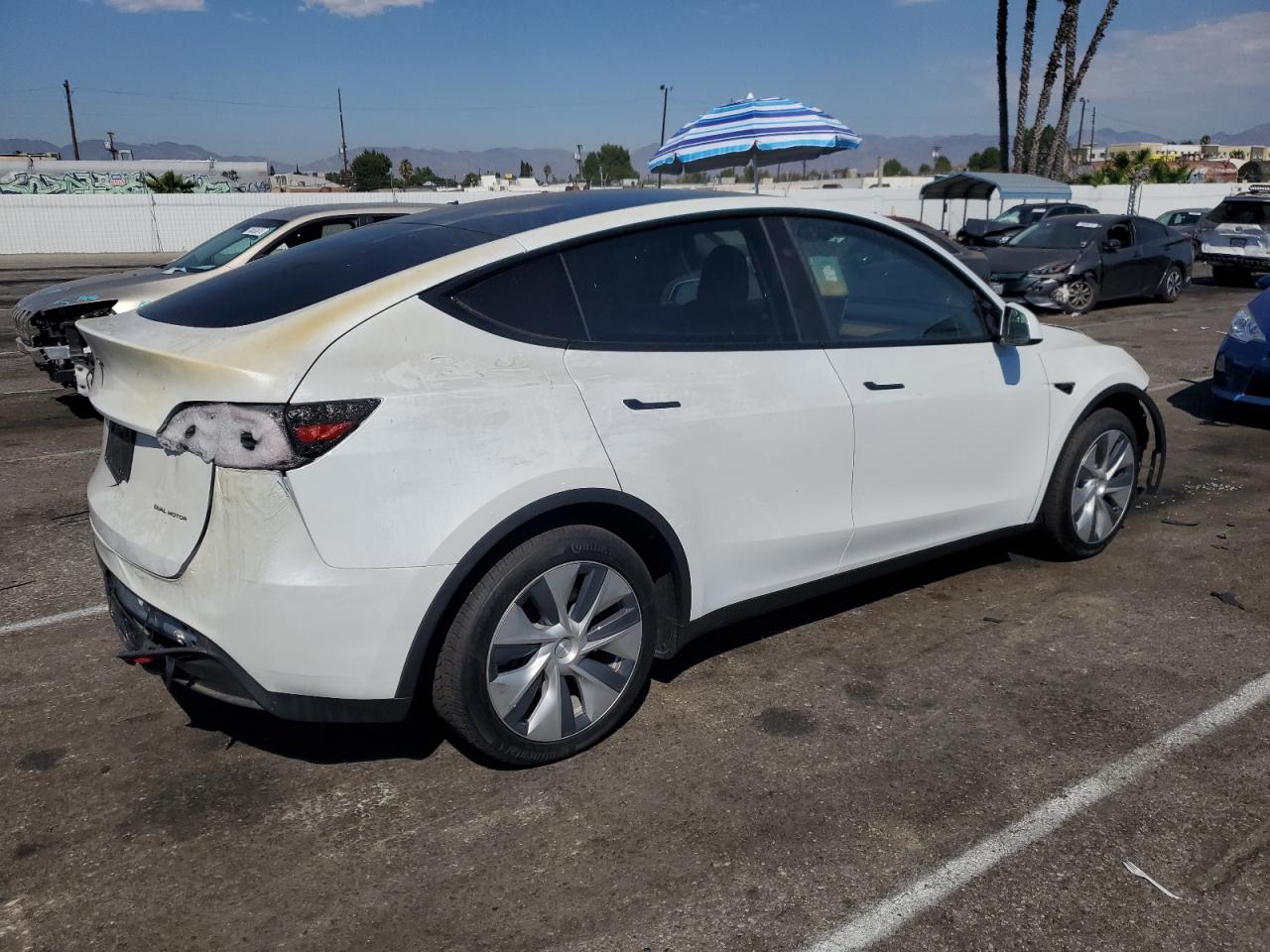 2023 TESLA MODEL Y  VIN:7SAYGDEE7PF971148