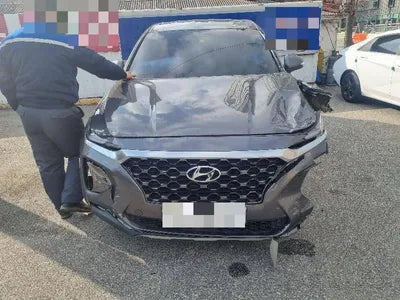 2019 Hyundai Santa FE KMHS281BBLU214044 VIN:KMHS281BBLU214044