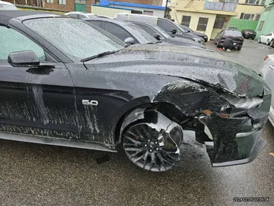 2019 Ford Mustang GT 738KM1FATP8FF9K51 VIN:738KM1FATP8FF9K51