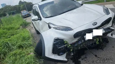 2019 Kia Carnival KNAMB81ABKS502641 VIN:KNAMB81ABKS502641