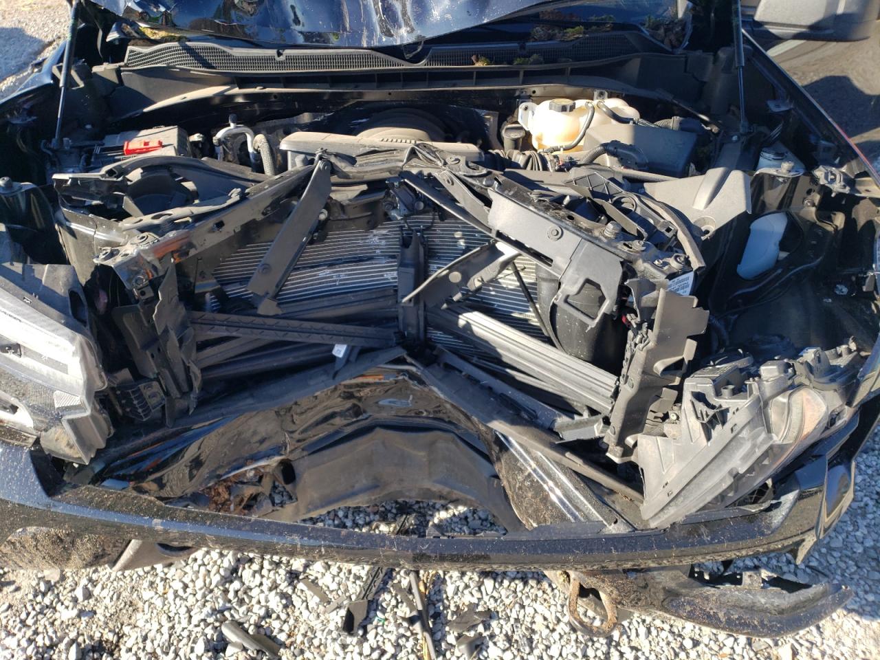 2024 CHEVROLET SILVERADO K1500 TRAIL BOSS CUSTOM VIN:3GCUDCED8RG411528