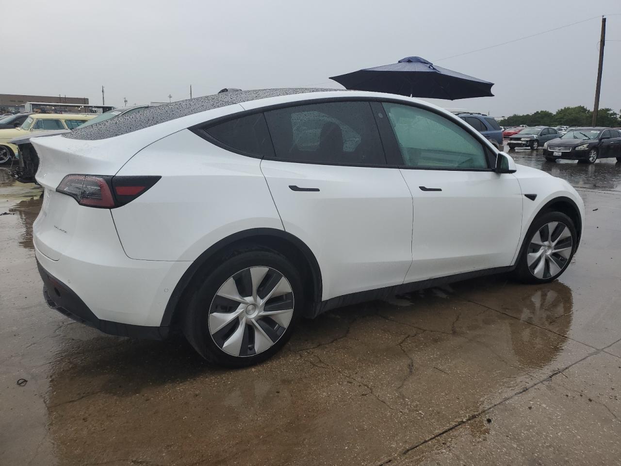2022 TESLA MODEL Y  VIN:7SAYGDEE4NF329743