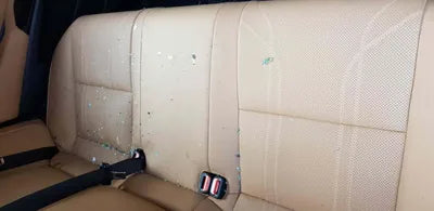 2021 Lexus ES 300 JTHBA1C11N2007243 VIN:JTHBA1C11N2007243