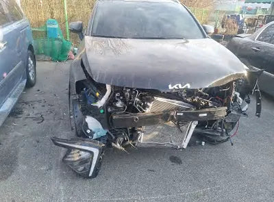 2023 Kia Sportage KNAPV81BGPK209751 VIN:KNAPV81BGPK209751
