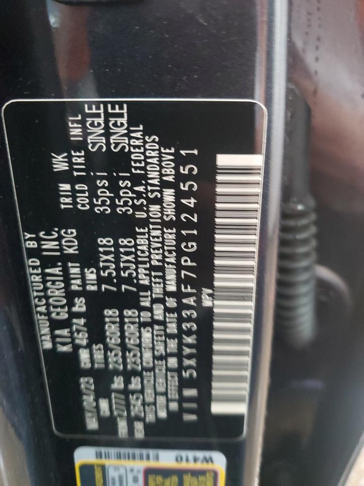 2023 KIA SPORTAGE EX VIN:5XYK33AF7PG124551