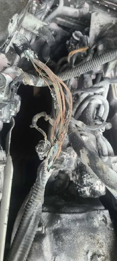 2015 BMW 740 WBAYB0107FGL96825 VIN:WBAYB0107FGL96825