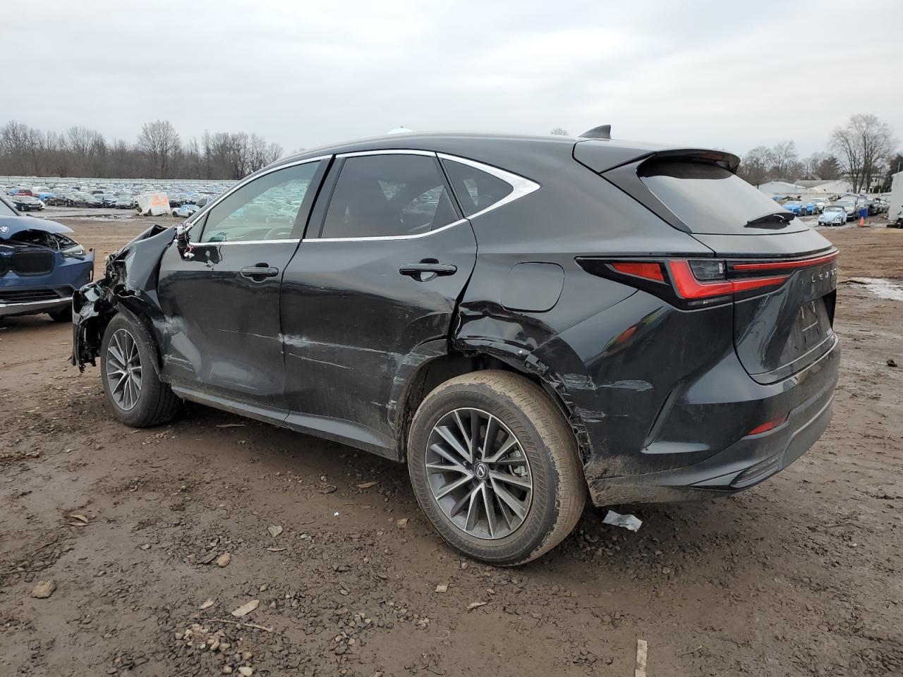 2023 LEXUS NX 250 VIN:2T2ADCEZ8PC002964