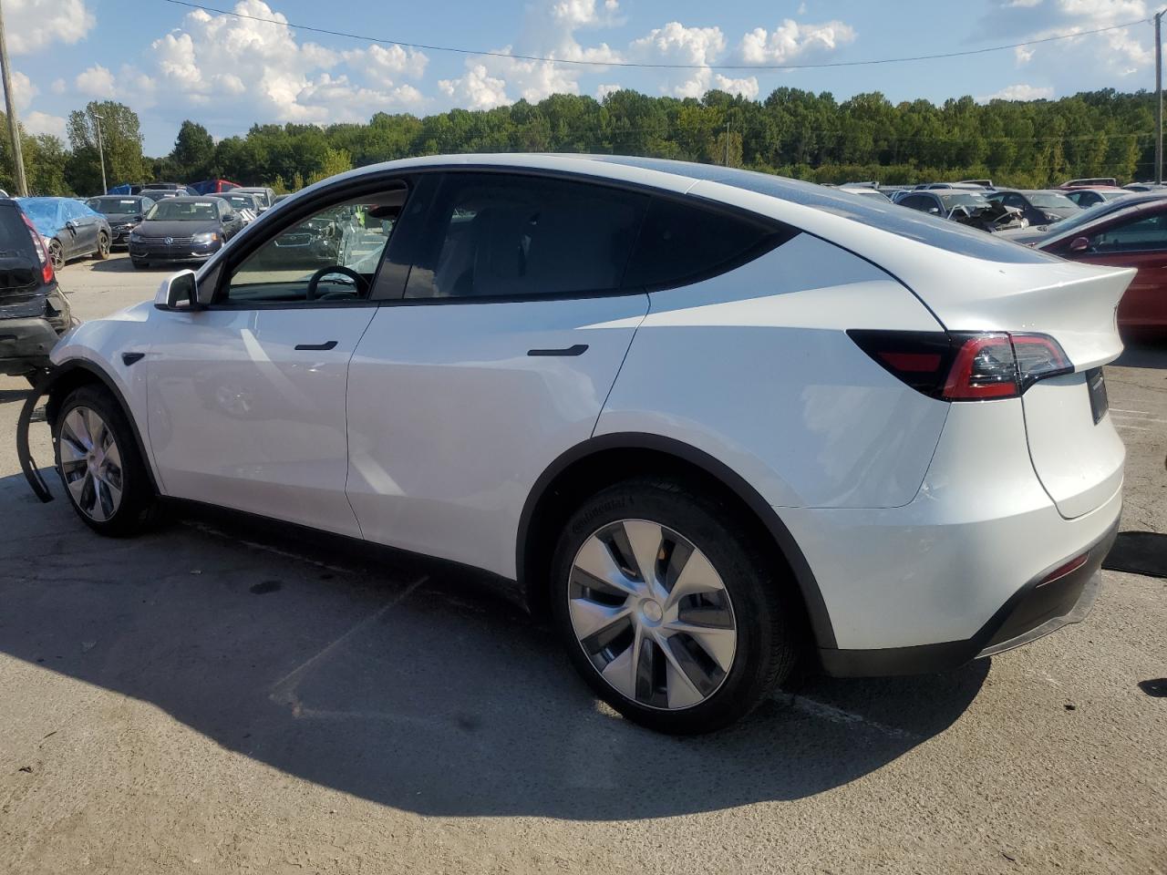 2023 TESLA MODEL Y  VIN:7SAYGDEEXPF810843