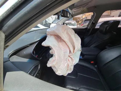 2019 Hyundai Santa FE KMHS381BBKU156411 VIN:KMHS381BBKU156411