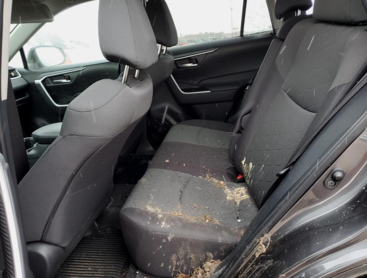 2023 TOYOTA RAV4 XLE VIN:5UXTY3C03LLU70477