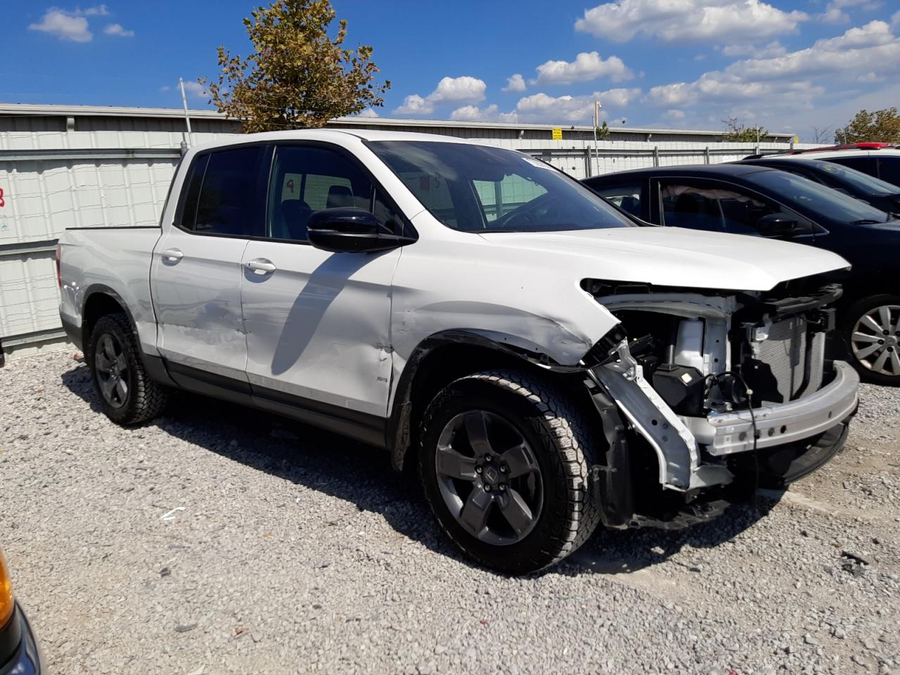 2024 HONDA RIDGELINE TRAIL SPORT VIN:5FPYK3F6XRB008946