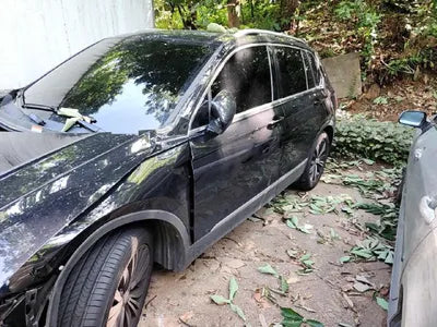 2019 Volkswagen Tiguan VIN: