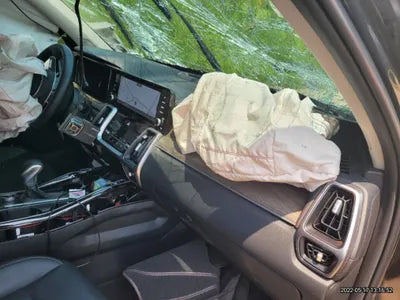 2020 Kia Sorento KNARL81BGMA010120 VIN:KNARL81BGMA010120